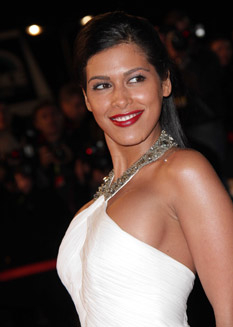 Tapis Rouge - NRJ Music Awards 2013 ©SIPA